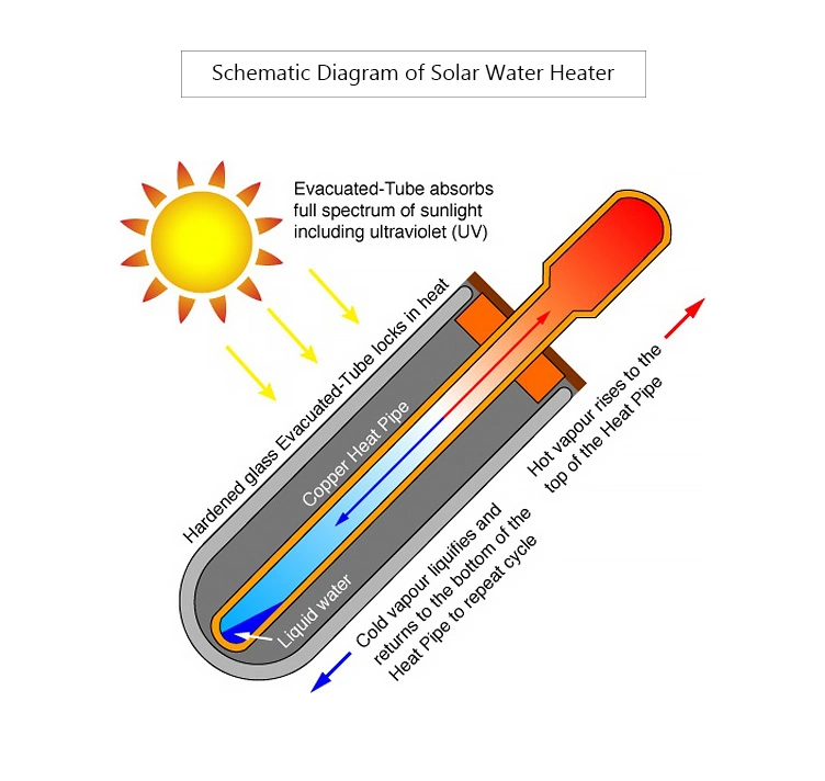 Heat Pipe Solar Collector Sfb205818 for Split Pressure Solar Hot Water Heater